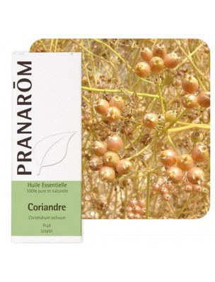 Image de Coriandre - Huile essentielle de Coriandrum sativum 10 ml - Pranarôm via Epinette noire Bio - Huile essentielle 10ml - Pranarôm