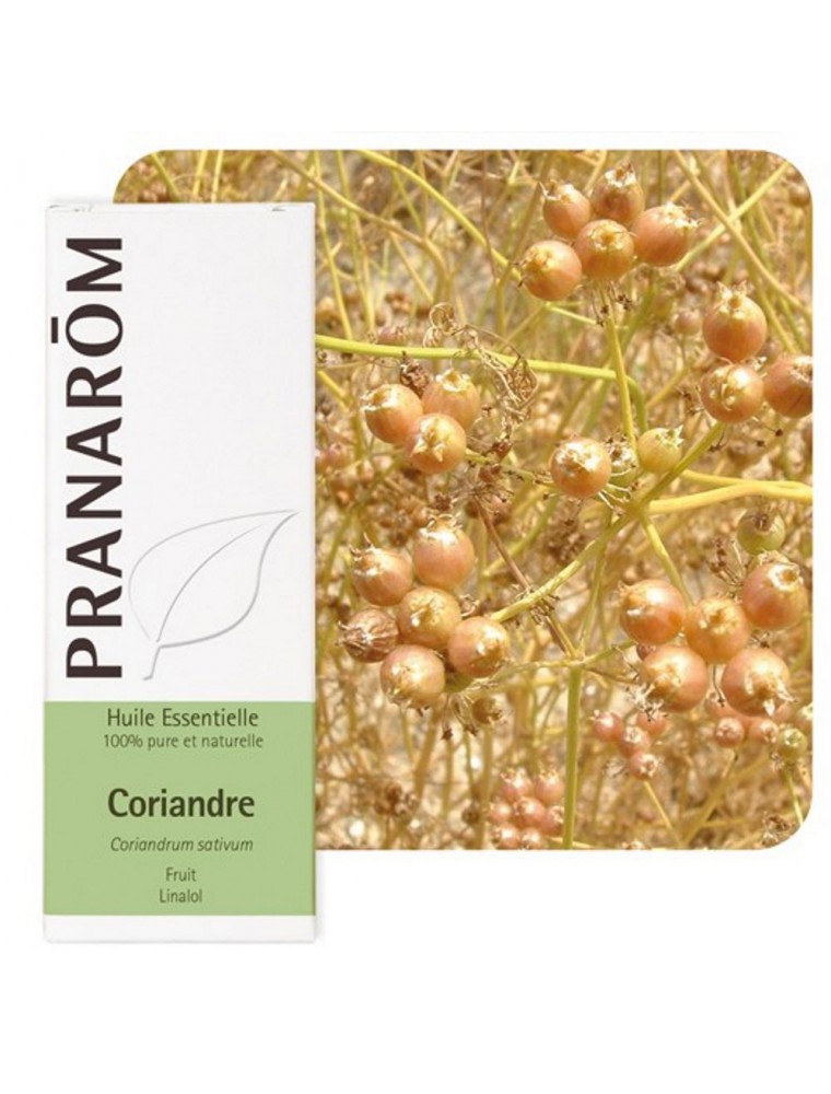 Image principale de la modale pour Coriandre - Huile essentielle de Coriandrum sativum 10 ml - Pranarôm