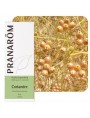 Image de Coriandre - Huile essentielle de Coriandrum sativum 10 ml - Pranarôm via Acheter Epinette noire Bio - Huile essentielle Picea mariana 10 ml -