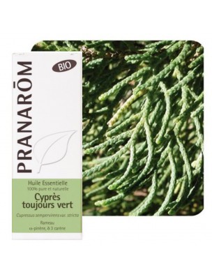 Image de Cyprès de Provence (Cyprès toujours vert) Bio – Cupressus sempervirens 5 ml - Pranarôm via Vétiver - Huile essentielle de Vetiveria zizanoides - Pranarôm