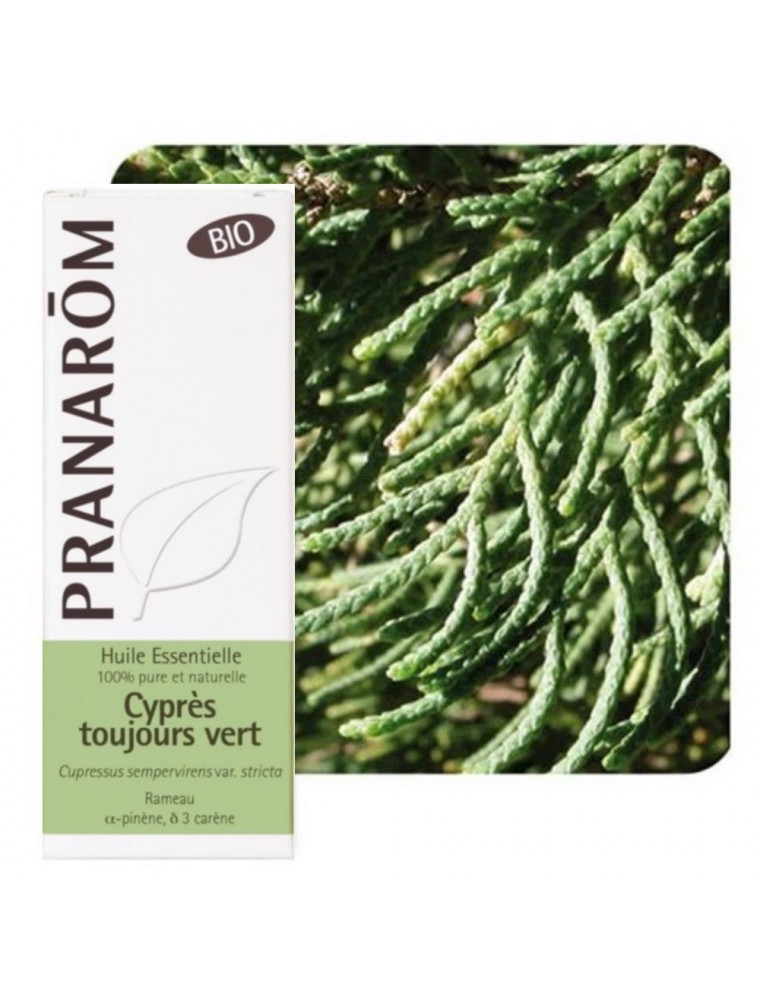 Image principale de la modale pour Cyprès de Provence (Cyprès toujours vert) Bio – Cupressus sempervirens 5 ml - Pranarôm