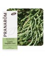 Image de Cypress of Provence (Cypress evergreen) Bio - Cupressus sempervirens 5 ml Pranarôm via Buy Calophyllum (Tamanu) Organic - Calophyllum inophyllum Plant Oil