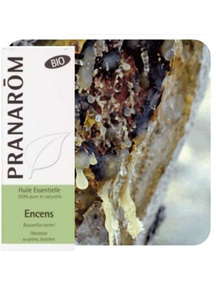 Image de Encens (oliban) Bio - Huile essentielle de Boswellia carteri 5 ml - Pranarôm via Acheter Photophore Geofleur pour résines et huiles essentielles - Les