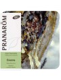 Image de Incense (frankincense) Bio - Essential oil of Boswellia carteri 5 ml - Pranarôm via Buy Santal des Indes - Amyris balsamifera 10 ml