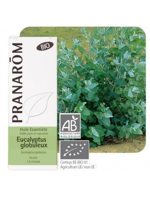 Image de Eucalyptus globuleux Bio - Huile essentielle d'Eucalyptus globulus 10 ml - Pranarôm via Acheter Eucaly drop (Eucalyptus) - Adoucit et rafraîchit 36 gommes -