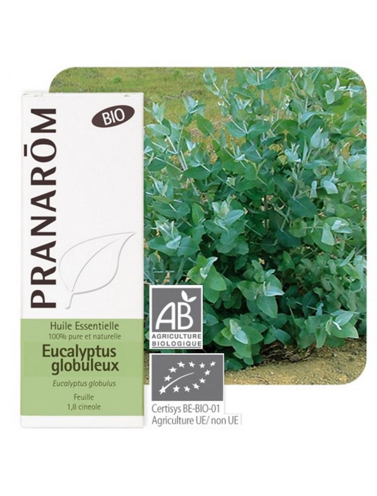 Eucalyptus globuleux Bio - Huile essentielle d'Eucalyptus globulus 10 ml - Pranarôm
