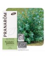 Image de Eucalyptus globulus Bio - Eucalyptus globulus Essential Oil 10 ml - Pranarôm via Buy Chest Balm 100% Organic - Breathing 50 ml - (French)