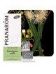 Eucalyptus radié Bio - Huile essentielle Eucalyptus radiata 10 ml - Pranarôm