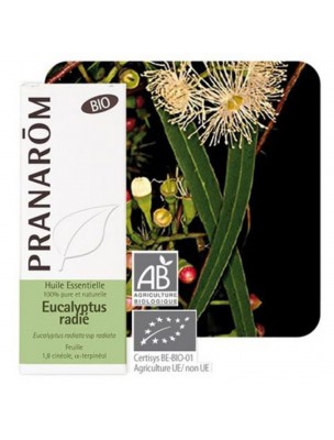 Image de Eucalyptus radié Bio - Huile essentielle Eucalyptus radiata 10 ml - Pranarôm via Huile essentielle Eucalyptus globuleux Bio - 30ml - Purasana