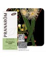 Image de Eucalyptus radiata Organic - Eucalyptus radiata Essential Oil 10 ml - Pranarôm via Buy Organic Nasal Spray - Propolis and Herbs 20 ml