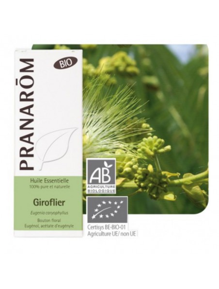Giroflier (Clou de Girofle) Bio - Huile essentielle d'Eugenia caryophyllus 10 ml - Pranarôm