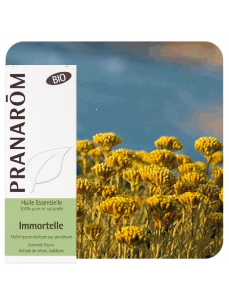 Hélichryse italienne (immortelle) Bio – Huile essentielle d'Helichrysum italicum 5 ml - Pranarôm Hélichryse italienne (immortelle) Bio – Huile essentielle d'Helichrysum italicum 5 ml - Pranarôm