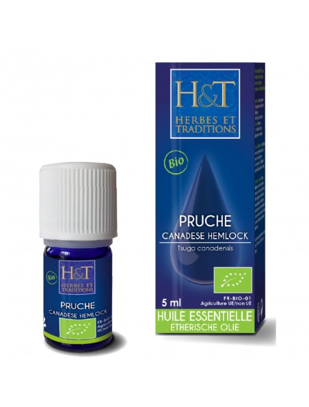 Image principale de Pruche Bio - Huile essentielle de Tsuga canadensis 5 ml - Herbes et Traditions