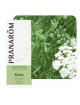 Khella - Huile essentielle d\'Ammi visnaga 5 ml - Pranarôm