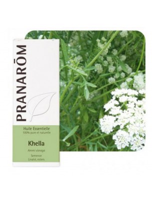 Image de Khella - Huile essentielle d'Ammi visnaga 5 ml - Pranarôm depuis Achetez les produits Pranarôm à l'herboristerie Louis (4)