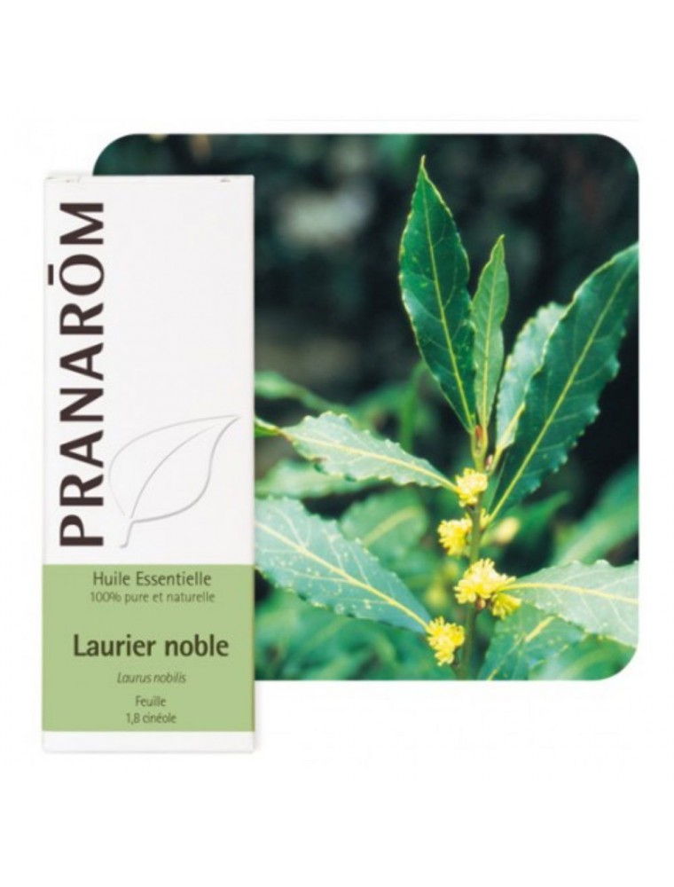 Image principale de la modale pour Laurier noble - Huile essentielle de Laurus nobilis 5 ml - Pranarôm