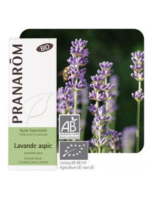 Image de Lavande aspic Bio - Huile essentielle de Lavandula latifolia 10 ml - Pranarôm depuis PrestaBlog