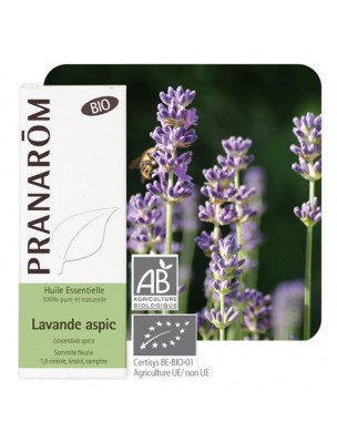 Image de Organic Spike Lavender - Lavandula latifolia Essential Oil 10 ml - Pranarôm via Buy DIY Empty Inhaler Stick -