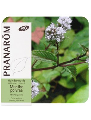 Image de Menthe poivrée Bio - Huile essentielle Mentha piperita 10 ml - Pranarôm via Calm'acid forte - Soutient un bon taux d'acidité | Biover