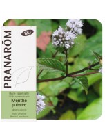 Image de Menthe poivrée Bio - Huile essentielle Mentha piperita 10 ml - Pranarôm depuis ▷▷ Huiles essentielles de plantes commençant par la lettre M