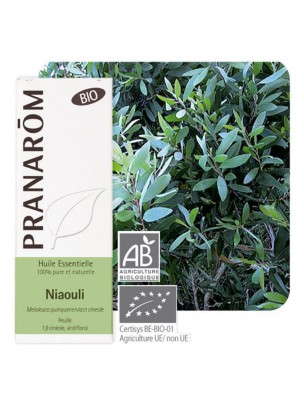 Image de Niaouli Bio - Huile essentielle Melaleuca quinquenervia 10 ml - Pranarôm via Palmarosa Bio - Huile essentielle 10 ml - Pranarôm