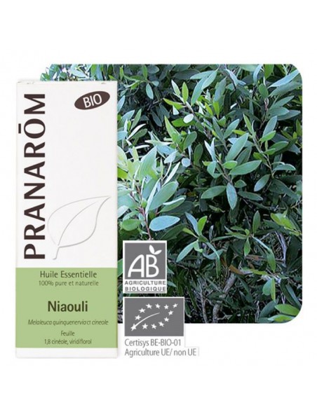 Image principale de Niaouli Bio - Huile essentielle Melaleuca quinquenervia 10 ml - Pranarôm