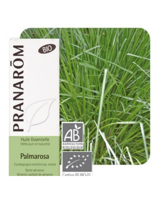 Image de Palmarosa Bio - Huile essentielle de Cymbopogon martinii var. motia 10 ml - Pranarôm depuis Huile essentielle Romarin à verbénone Bio - 5 ml