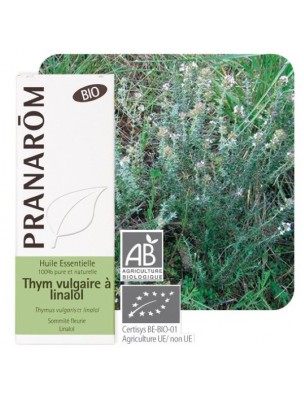 Image de Thym à linalol Bio - Thymus vulgaris ct linalol 5 ml - Pranarôm via Eucalyptus globuleux Bio - 10 ml - Purasana