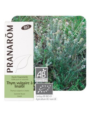 Image de Thyme with linalool Bio - Thymus vulgaris ct linalol 5 ml - Pranarôm depuis Essential oils for the urinary tract (2)