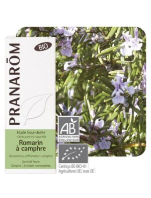 Image de Romarin à camphre Bio - Rosmarinus officinalis 10 ml - Pranarôm depuis Commandez les produits Pranarôm à l'herboristerie Louis