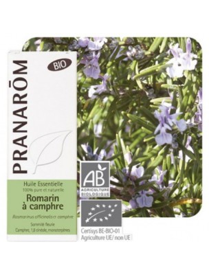 Image de Rosemary with camphor Bio - Rosmarinus officinalis 10 ml Pranarôm depuis Rosemary essential oil beneficial for the liver and respiration