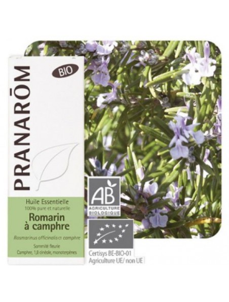 Image principale de Romarin à camphre Bio - Rosmarinus officinalis 10 ml - Pranarôm