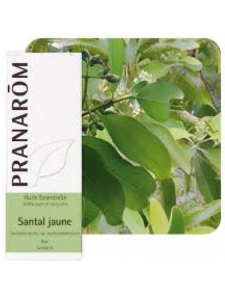Santal jaune - Huile essentielle Santalum austrocaledonicum 5 ml - Pranarôm Santal jaune - Huile essentielle Santalum austrocaledonicum 5 ml - Pranarôm