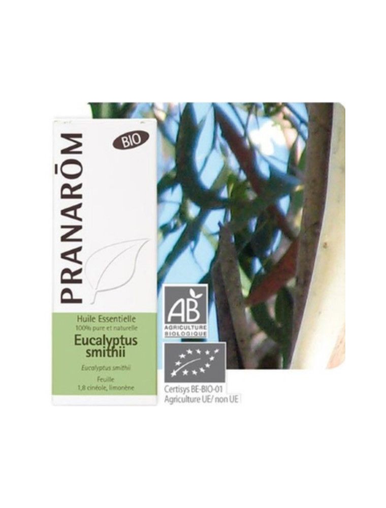Image principale de la modale pour Eucalyptus smithii Bio - Huile essentielle d'Eucalyptus smithii 10 ml - Pranarôm