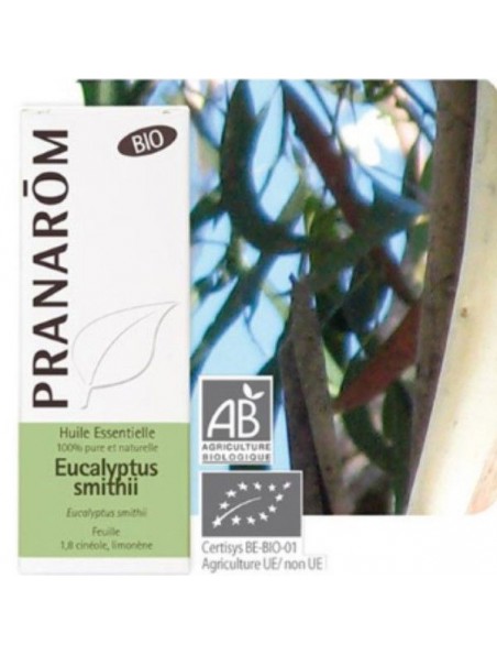 Image principale de Eucalyptus smithii Bio - Huile essentielle d'Eucalyptus smithii 10 ml - Pranarôm