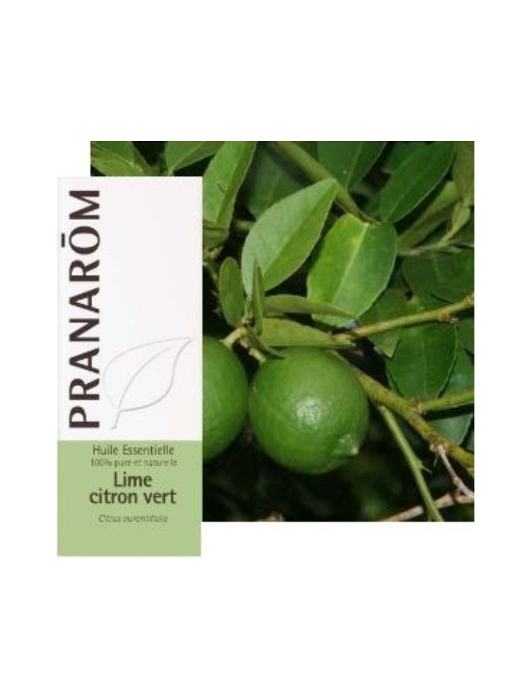 Image principale de la modale pour Lime Citron vert - Huile essentielle Citrus aurantifolia 10 ml - Pranarôm