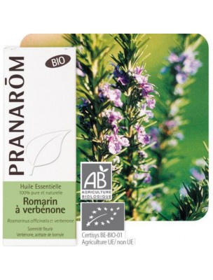 Image de Romarin à verbénone Bio - Huile essentielle de Rosmarinus officinalis ct ver. 5 ml - Pranarôm via Romarin Verbénone Bio - Hydrolat 200 ml - Abiessence