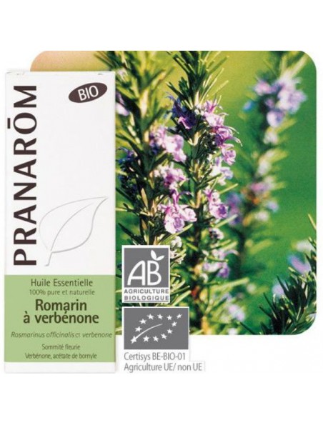 Image principale de Romarin à verbénone Bio - Huile essentielle de Rosmarinus officinalis ct ver. 5 ml - Pranarôm