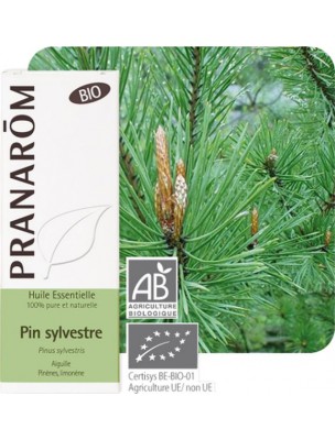 Image de Pin sylvestre Bio - Huile essentielle Pinus sylvestris 10 ml - Pranarôm via Pin Sylvestre Bio - Défenses naturelles 50 ml - Ladrôme