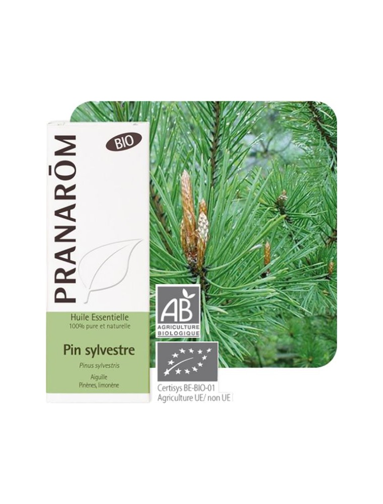 Image principale de la modale pour Pin sylvestre Bio - Huile essentielle Pinus sylvestris 10 ml - Pranarôm