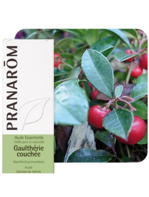 Image de Gaulthérie couchée - Huile essentielle de Gaultheria procumbens 10 ml - Pranarôm via Flexosil Fort - Gel de massage au Silicium organique 200 ml - Nutrition Concept