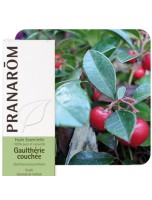 Image de Gaulthérie couchée - Huile essentielle de Gaultheria procumbens 10 ml - Pranarôm depuis ▷▷ Huiles essentielles de plantes commençant par la lettre G