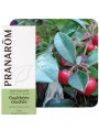 Image de Wintergreen - Gaultheria procumbens Essential Oil 10 ml - Pranarôm via Buy Organic Muscle Balm - Essential and Vegetable Oils 140g