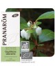 Gaulthérie odorante Bio -  Huile essentielle Gaultheria fragrantissima 10 ml - Pranarôm