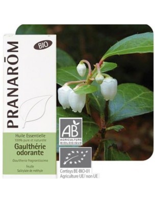 Image de Gaulthérie odorante Bio -  Huile essentielle Gaultheria fragrantissima 10 ml - Pranarôm via Baume Décontractant Musculaire Bio - Abiessence