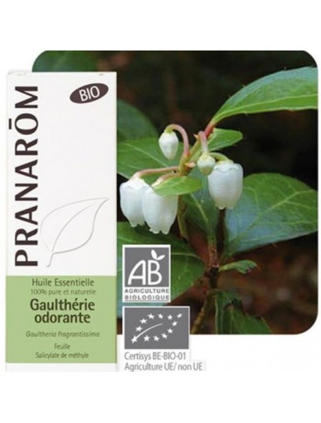 Gaulthérie odorante Bio -  Huile essentielle Gaultheria fragrantissima 10 ml - Pranarôm