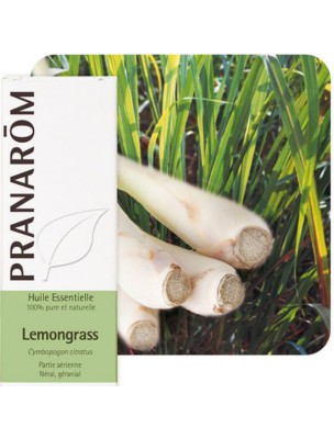 Image de Lemongrass - Huile essentielle Cymbopogon citratus 10 ml - Pranarôm depuis Résultats de recherche pour "L'Aromathérapie"