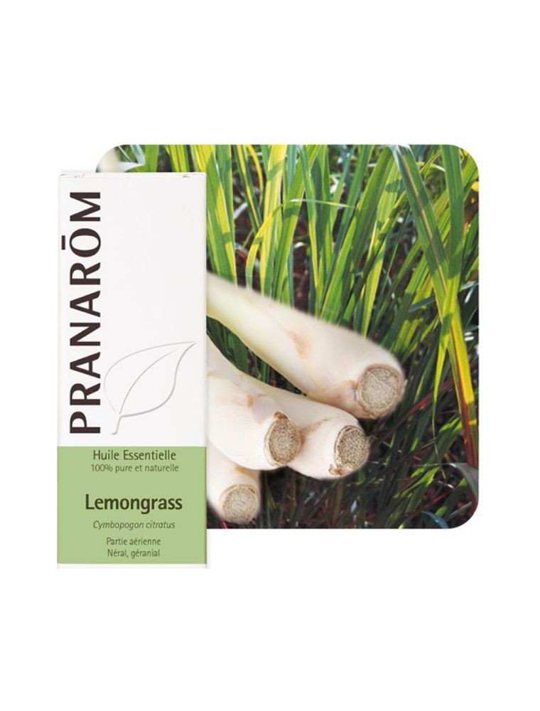 Lemongrass - Huile essentielle Cymbopogon citratus 10 ml - Pranarôm