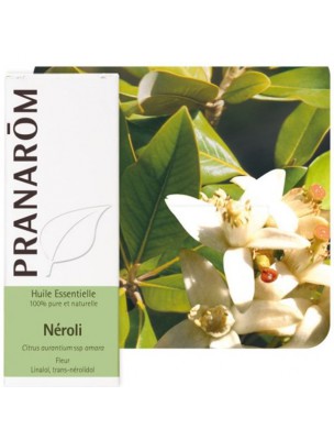 Image de Néroli - Huile essentielle Citrus aurantium ssp amara 2 ml - Pranarôm depuis Huiles essentielles rares et précieuses (2)