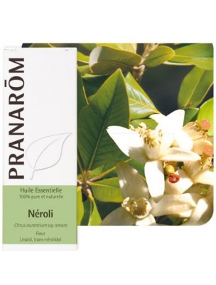 Image de Néroli - Huile essentielle Citrus aurantium ssp amara 2 ml - Pranarôm depuis Résultats de recherche pour "Incense resin c"